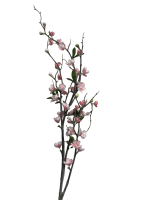 194hjqetghrmr0cx7vrak02x6c_preview_0-ezremove (1)