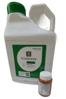 2026-03-24_11-48-20-edited-free (carve.photos)