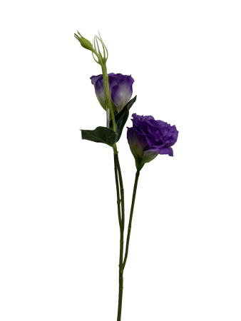 1g4nexz6v1rmy0cx8ba84tve54_preview_0-ezremove