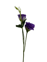 1g4nexz6v1rmy0cx8ba84tve54_preview_0-ezremove