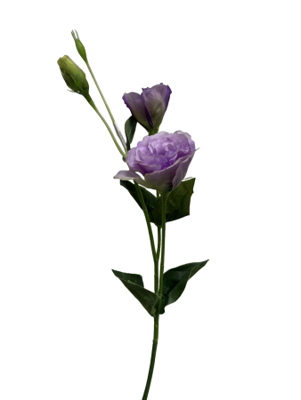 7fnsvjkk21rmy0cx8baa4spm38_preview_0-ezremove