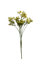 wn7xc927xdrmt0cx7vmvffx038_preview_0-ezremove