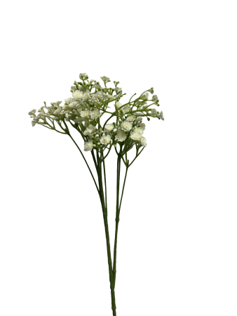 abr2nqbkxnrmw0cx7vm9gg7864_preview_0-ezremove