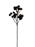 mngtrdwvnhrmr0cx8gd985paac_preview_0-ezremove