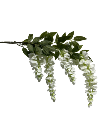 7rf37md9m1rmy0cx8bcsajbts0_preview_0-ezremove