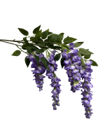 z8f1ds2mzsrmt0cx8bcsfbntz4_preview_0-ezremove