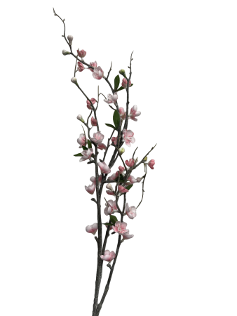 194hjqetghrmr0cx7vrak02x6c_preview_0-ezremove (1)