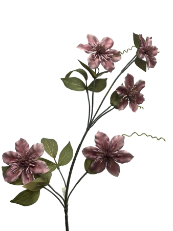 86387d91-d63b-4593-b1f4-c83a21c270df-no-bg-preview (carve.photos)