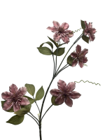 86387d91-d63b-4593-b1f4-c83a21c270df-no-bg-preview (carve.photos)