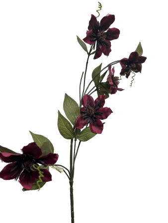 d5a5d93c-37e7-4578-81c7-d15868a64c34-no-bg-preview (carve.photos)