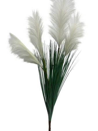 IMG_3281-no-bg-preview (carve.photos)