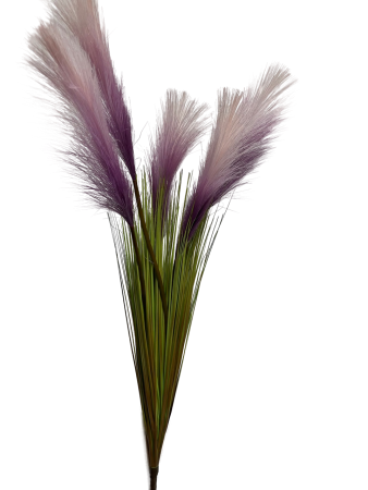 IMG_3280-no-bg-preview (carve.photos)