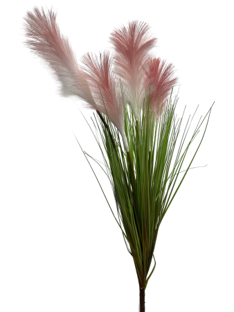 IMG_3279-no-bg-preview (carve.photos)