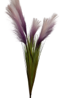 IMG_3280-no-bg-preview (carve.photos)