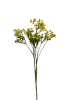 wn7xc927xdrmt0cx7vmvffx038_preview_0-ezremove
