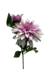 gzp6pnmjq5rmt0cx7ts8rdatgm_preview_0-ezremove