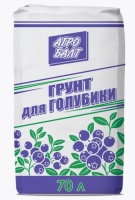 Новый точечный рисунок (91)