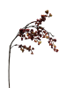 keqtbwxes1rmr0cx8fsr1y42fc_preview_0-ezremove