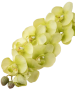jb9d0ydmgxrmt0cx5ywb9h0e6w_preview_0-ezremove